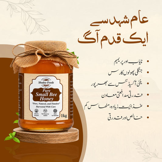 Pure Small Bee Honey - چھوٹی مکھی شہد